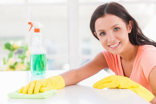 Professional mattress cleaning in progress in a clean bedroom