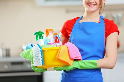 Home mattress cleaning tools and protective bedding setup