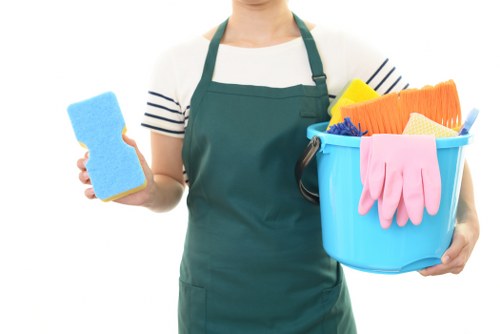 Move in cleaning in a bright empty living room