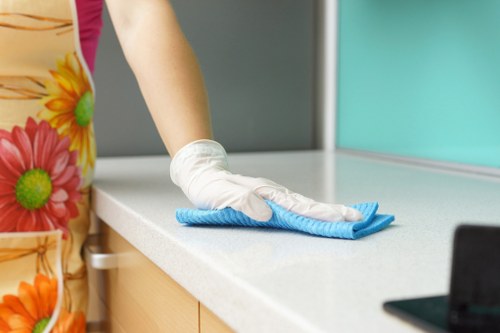 Home cleaning tools arranged for regular cleaning tasks