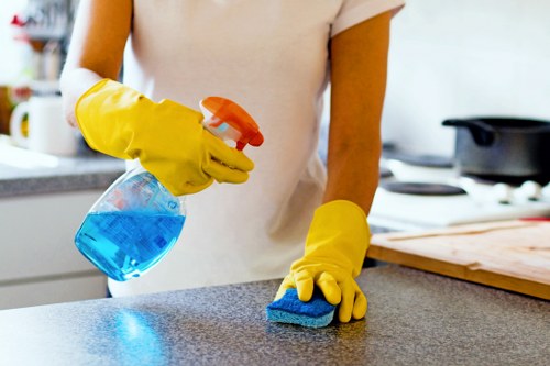 Preparing supplies for oven cleaning