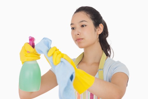 Deep cleaning service in a modern kitchen