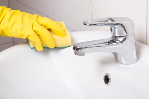 Pet-friendly carpet cleaning to remove odors and stains