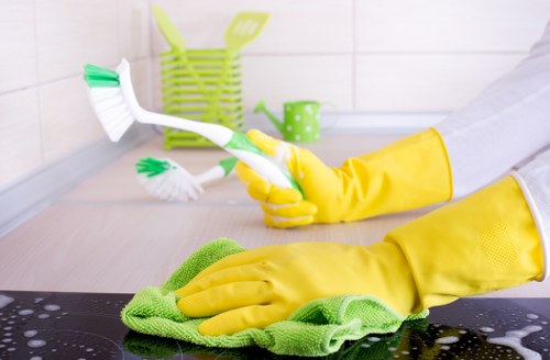 Cleaner vacuuming and dusting a home interior