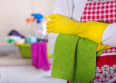 Cleaning supplies used in a structured domestic cleaning routine