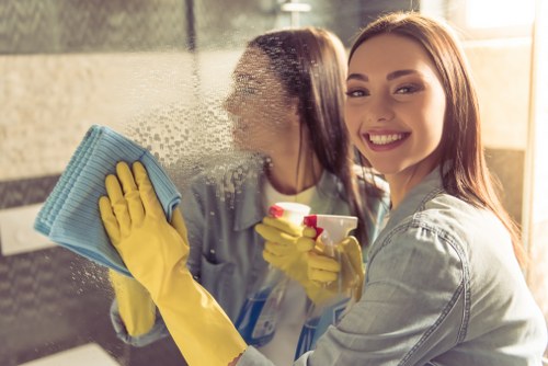 Dust and allergens trapped inside upholstered sofa cushions